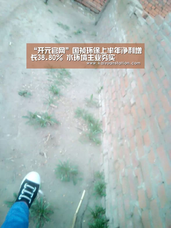 “开元官网”国祯环保上半年净利增长38.80% 水环境主业夯实(图1) 开元平台
