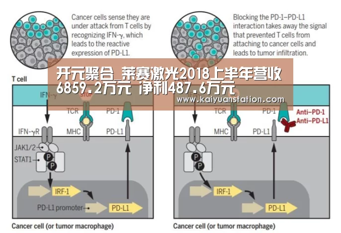 开元官网