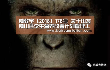 开元官网