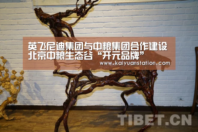 英飞尼迪集团与中粮集团合作建设北京中粮生态谷“开元品牌”(图2) 开元品牌