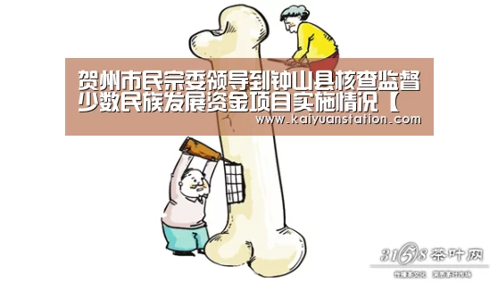 贺州市民宗委领导到钟山县核查监督少数民族发展资金项目实施情况【开元品牌】(图2) 开元品牌